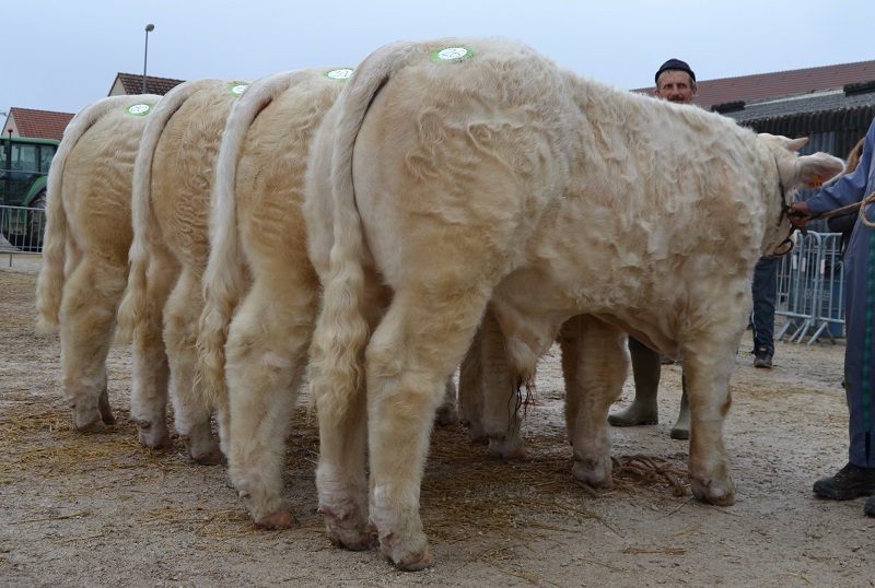 sUPER PRIX D4ENSEMBLE SEMUR 2021